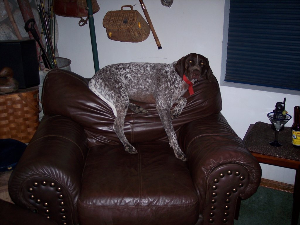 100_1494.JPG