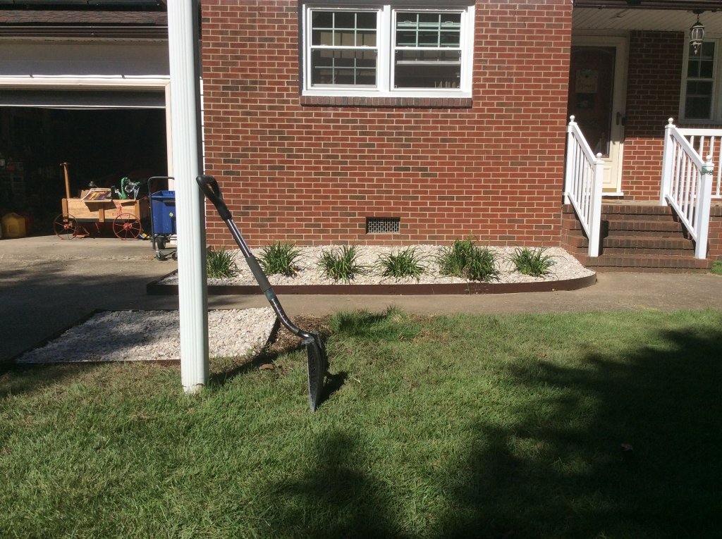 no more shurbs to trim.  9 28-21.jpg