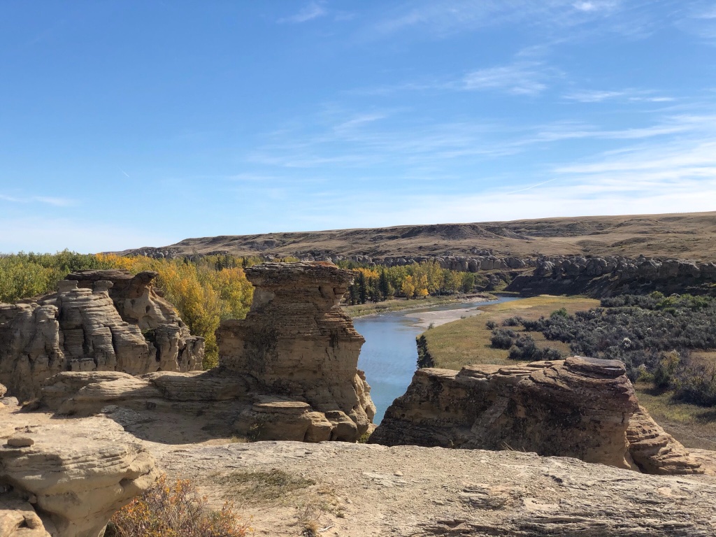 CB077775-BE6E-40DC-8711-057487FF5735.jpeg