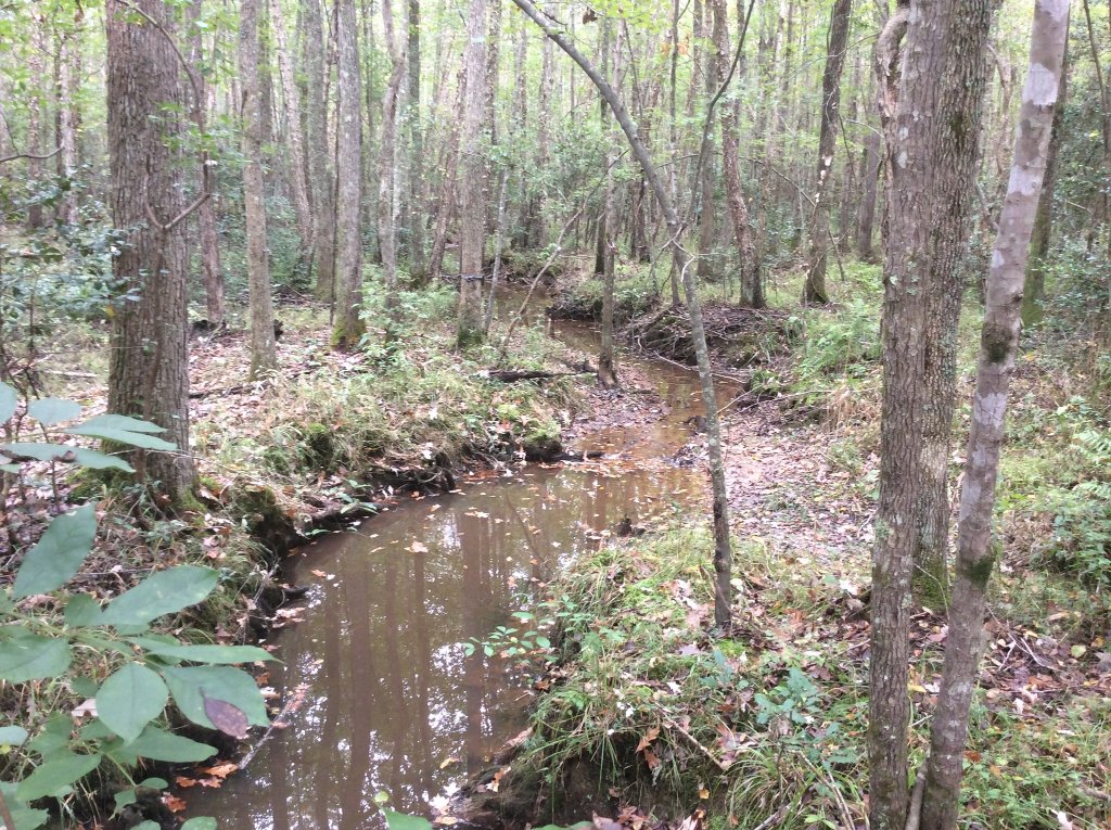 creek shot 10 7 21.jpg