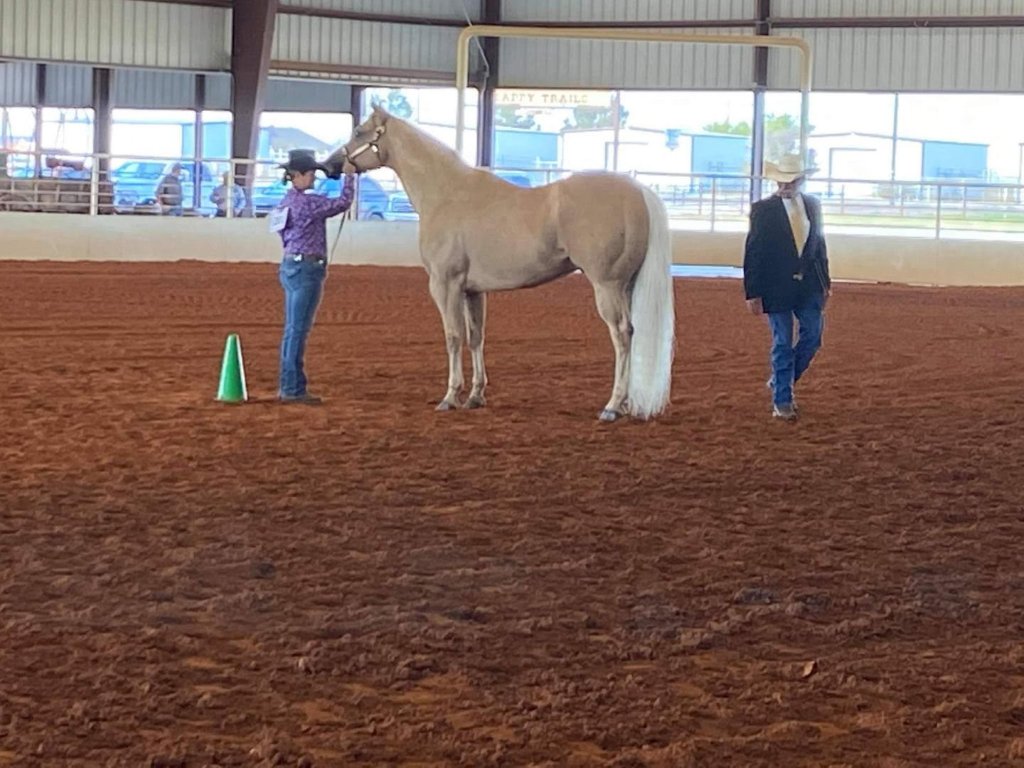 winner winner.jpg