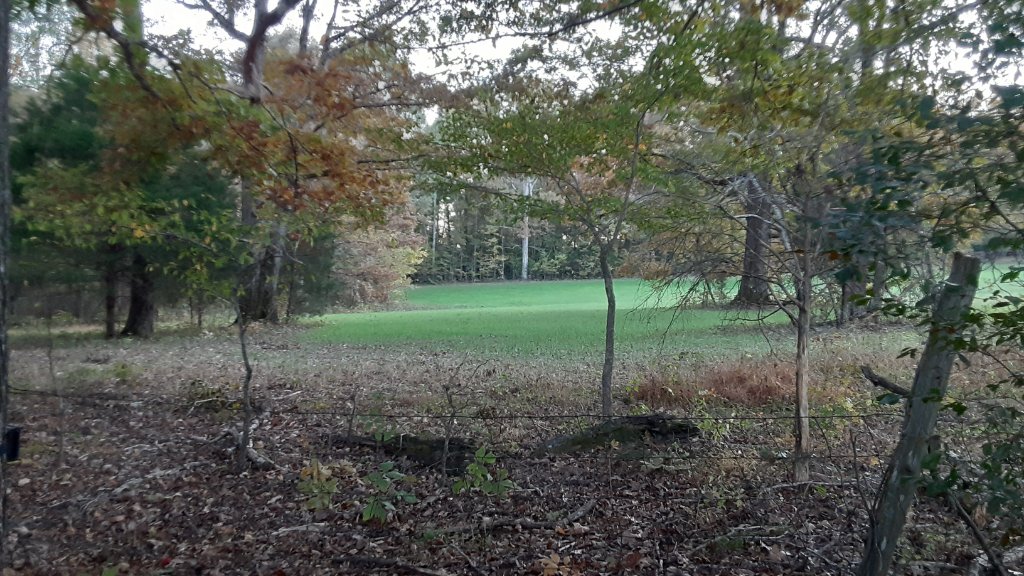 20211106_173658.jpg