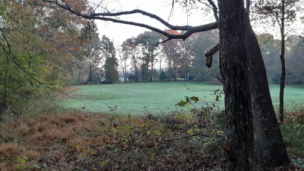 20211107_063143.jpg