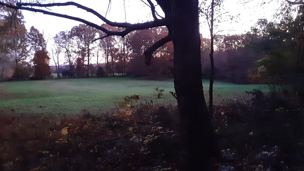 20211113_060936.jpg