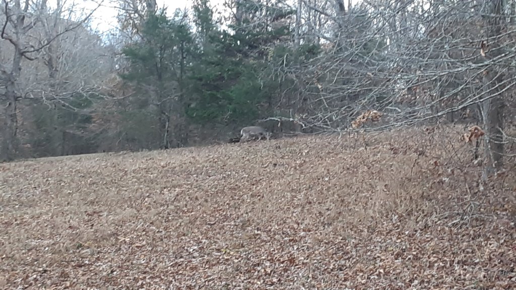 20211127_160722.jpg