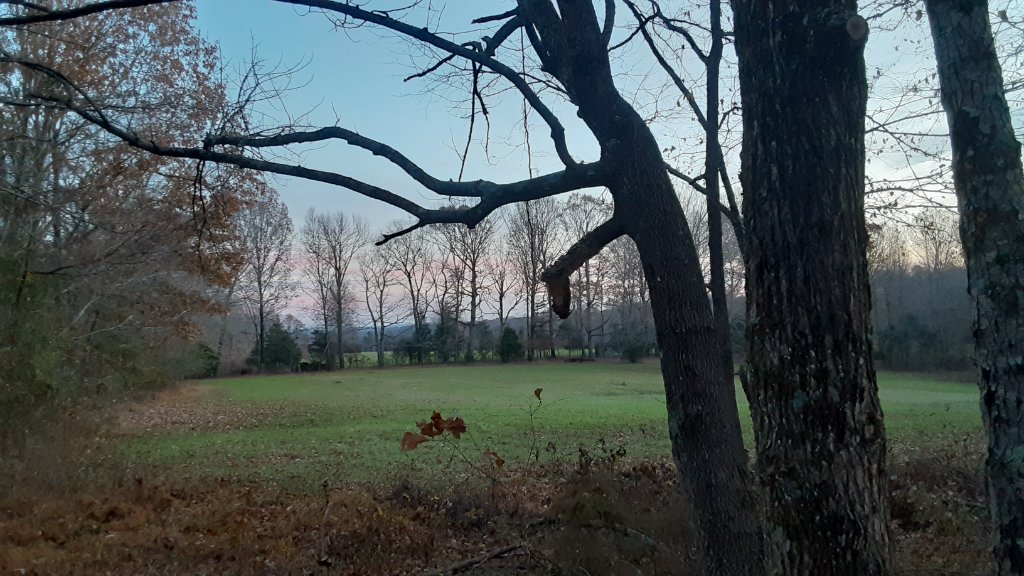 20211128_063756.jpg