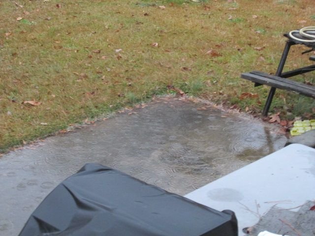 211208 002 overnight rain 001.jpg