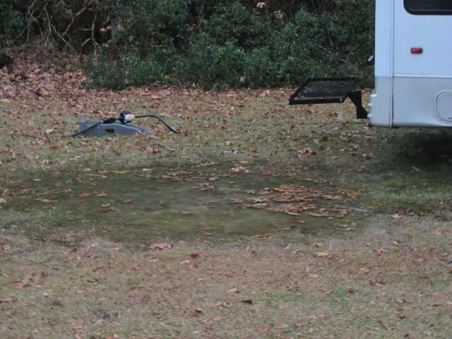211208 001 overnight rain 002.jpg