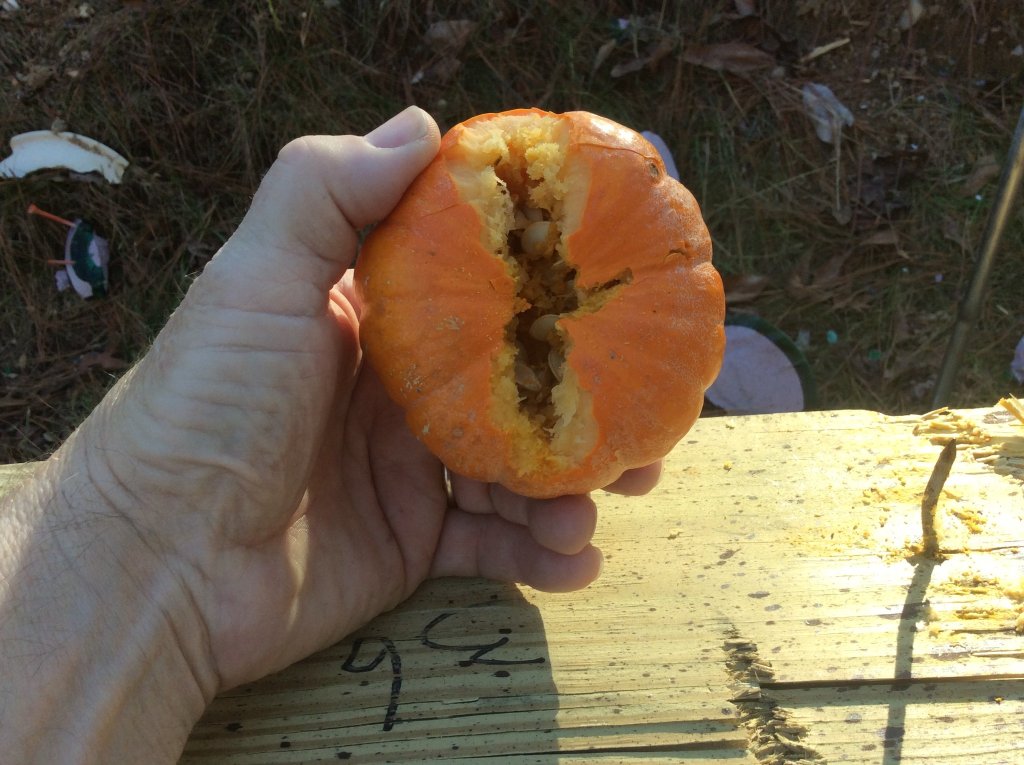 windage looks good.jpg