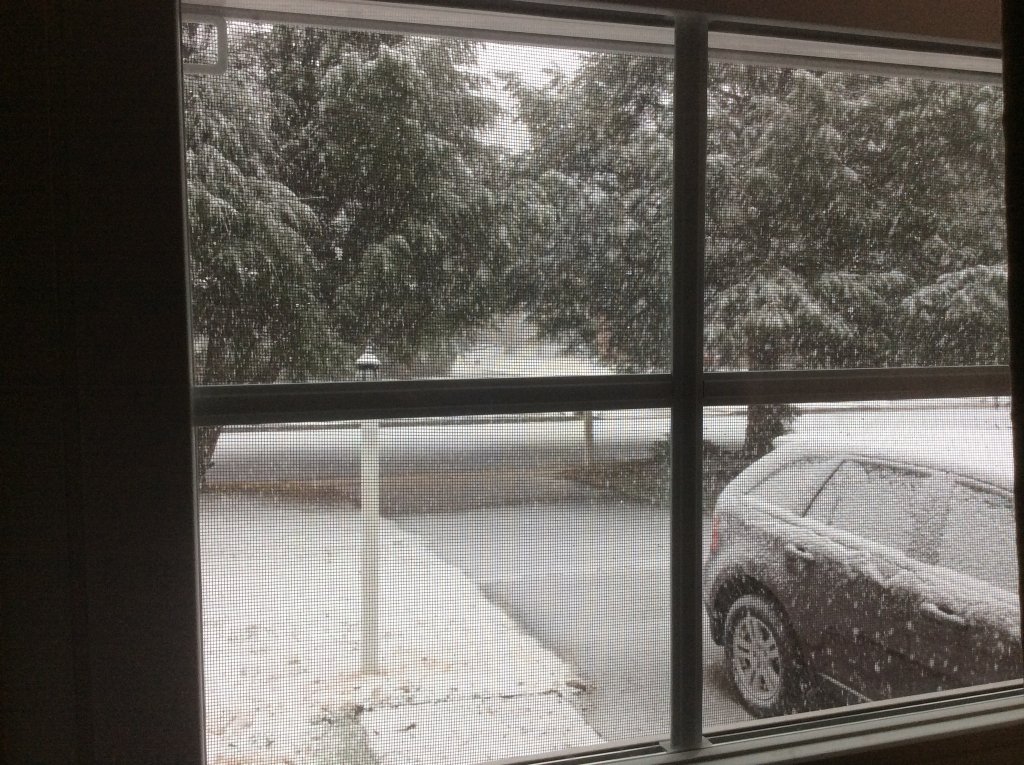 first snow of 2022  1-3.jpg
