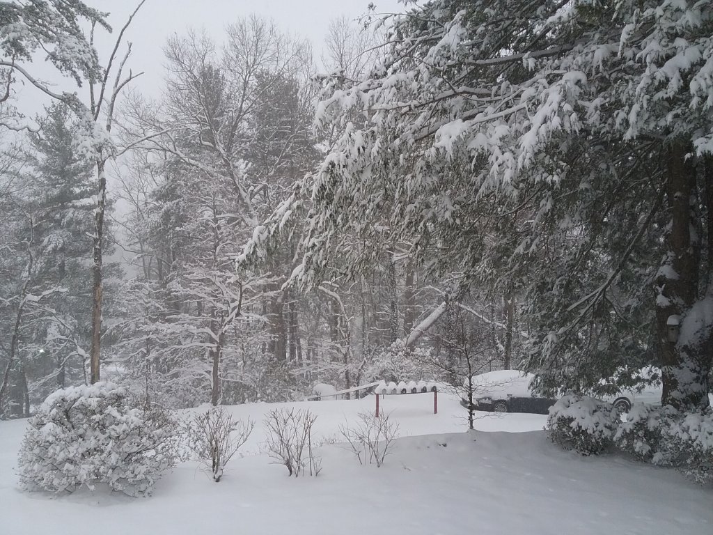 20220116_094000.jpg