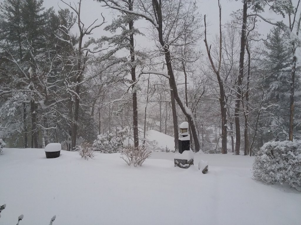 20220116_093950.jpg