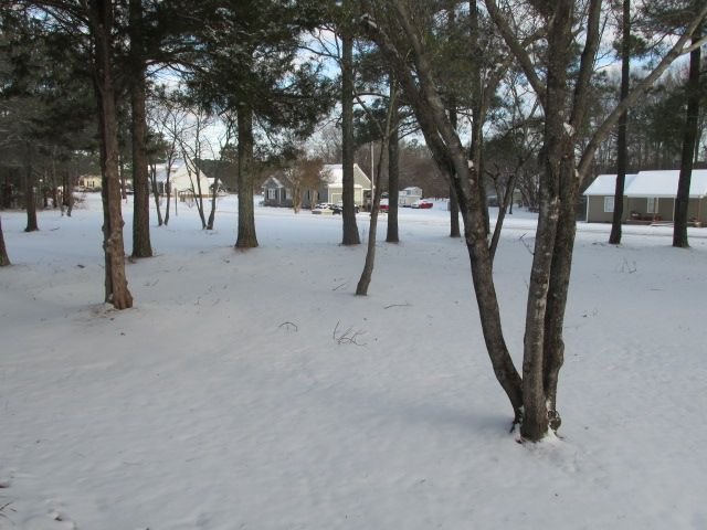 220122 001 3.5 inches of snow 007.jpg