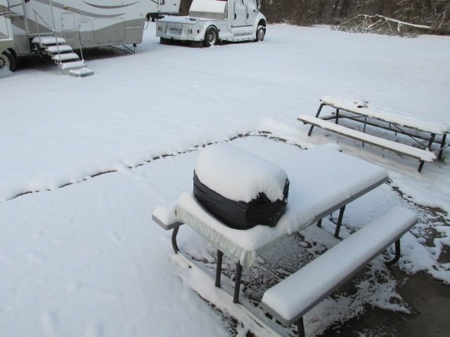 220122 001 3.5 inches of snow 001.jpg