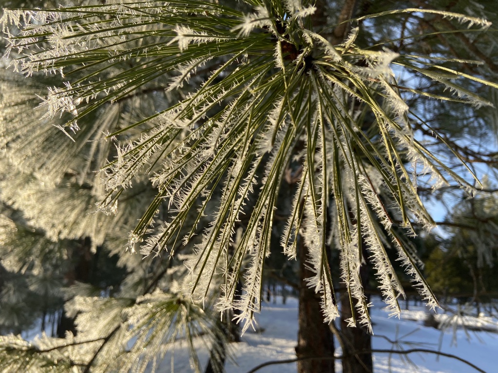B6E539CA-539D-42DE-A315-B887B9ED30EE.jpeg