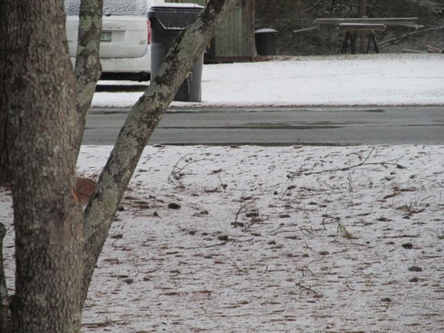 220129 001 half inch 006.jpg