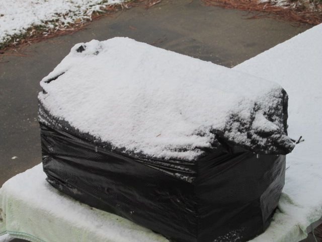 220129 001 half inch 002.jpg