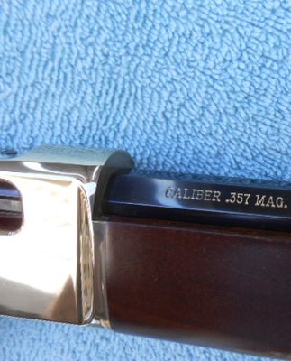 Shiny Brass6.jpg