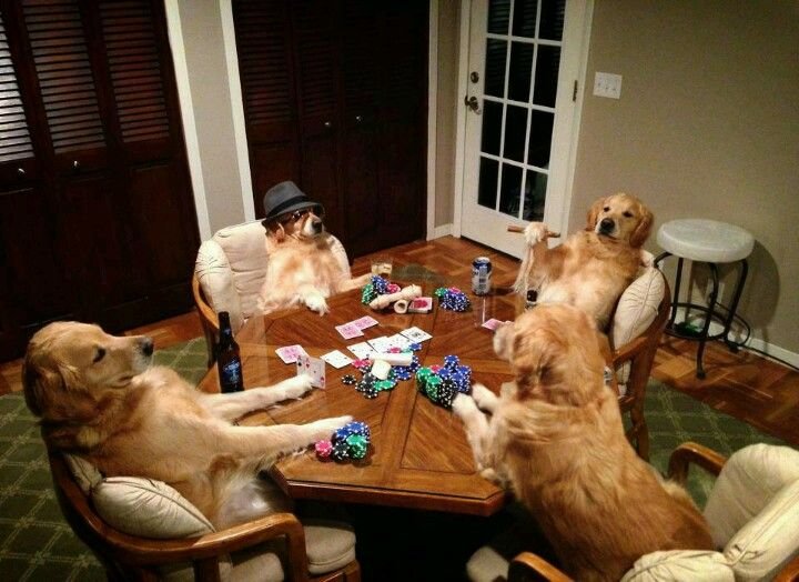 Dogs playing poker.jpg