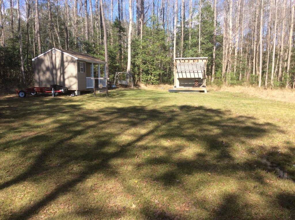 grass greening up 3-27-22.jpg
