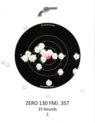 SmokeWagon 6" target at 25 feet
