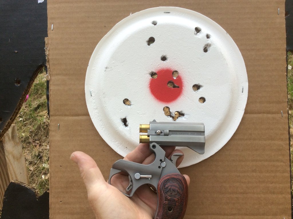 Grizzly  45 Colt hits from 6 yds..jpg