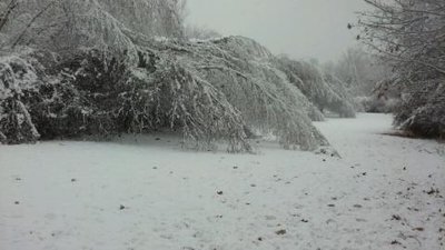 20161120_084042.jpg