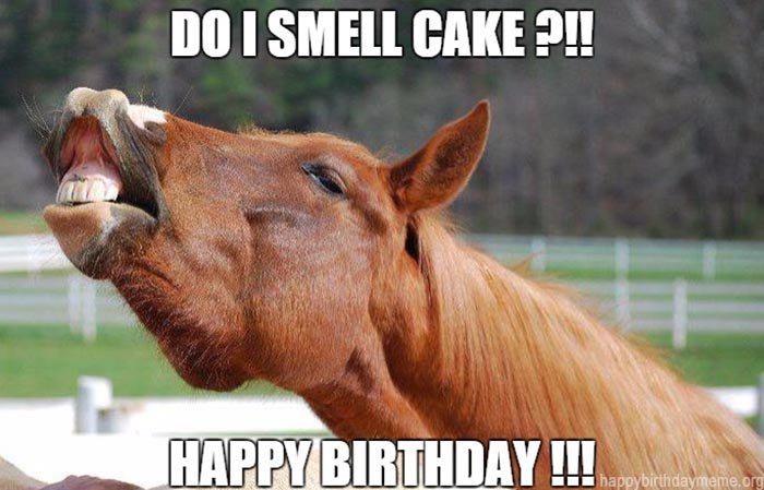 happy-birthday-horse-meme-3.jpg