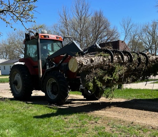 220514 001 storm cleanup 005.JPEG.jpg