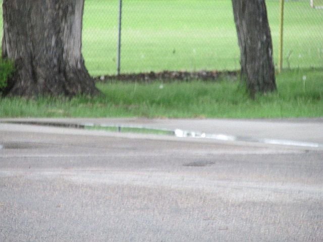 220604 001 first night rain 002.jpg