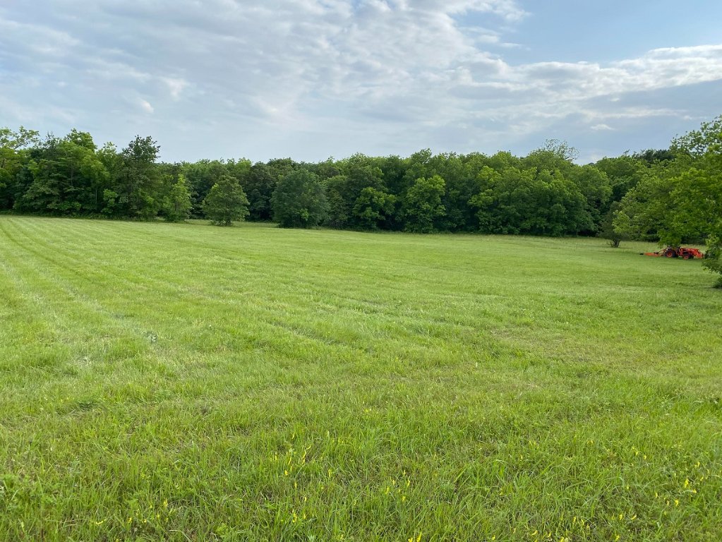 north pasture freshly tipped 220530.jpg