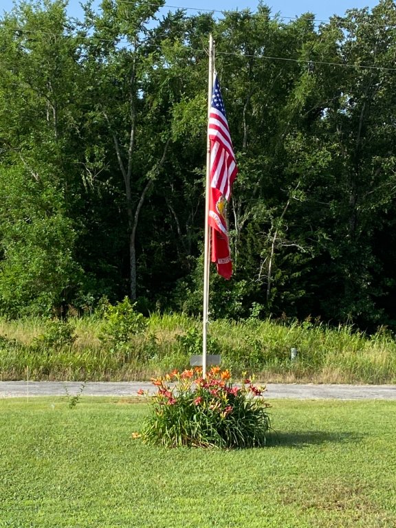 flags and flowers.jpg