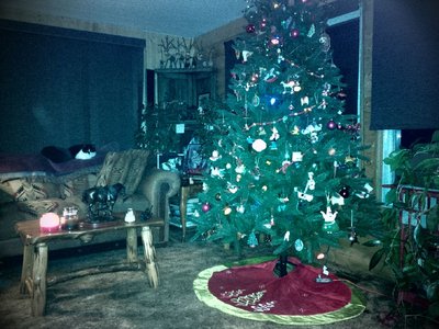 IMG_20161127_205550_edit.jpg