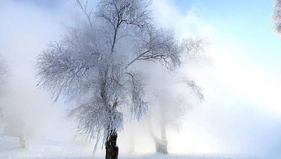 freezing fog.jpg