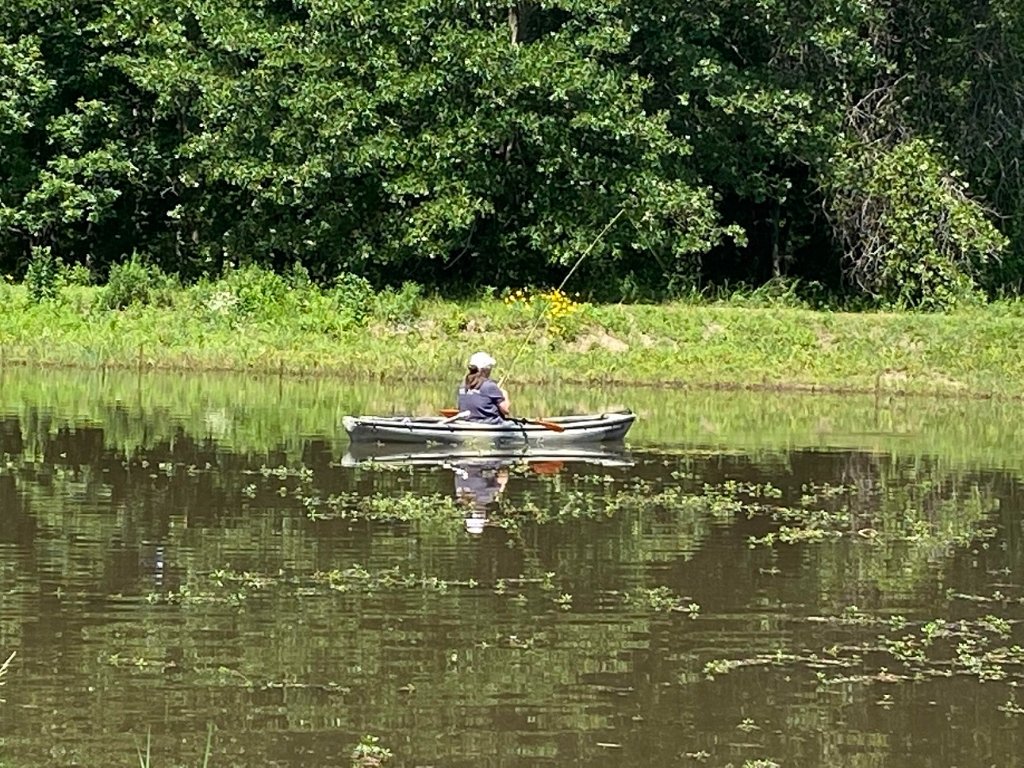 here fishy.jpg