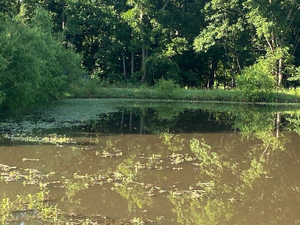 calling fly rod.jpg