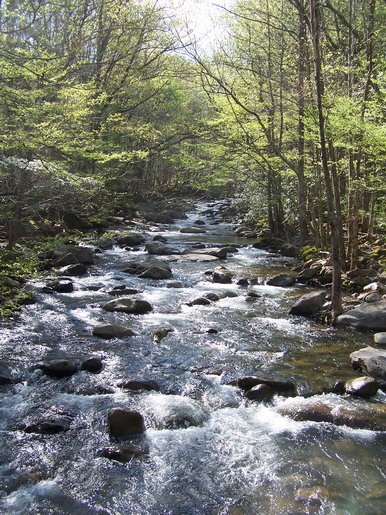 long shot trout stream 121.jpg