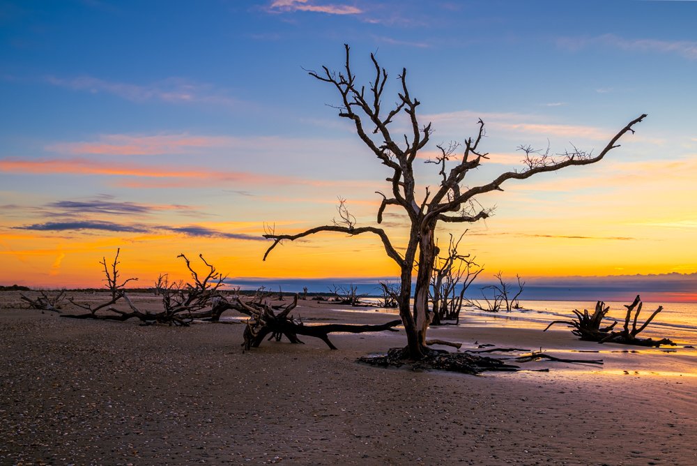 _DAB0430-HDR-2.jpg