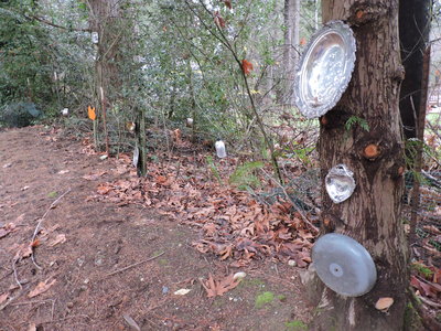 DSCN1425.JPG