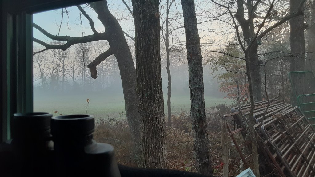 20211202_065855.jpg