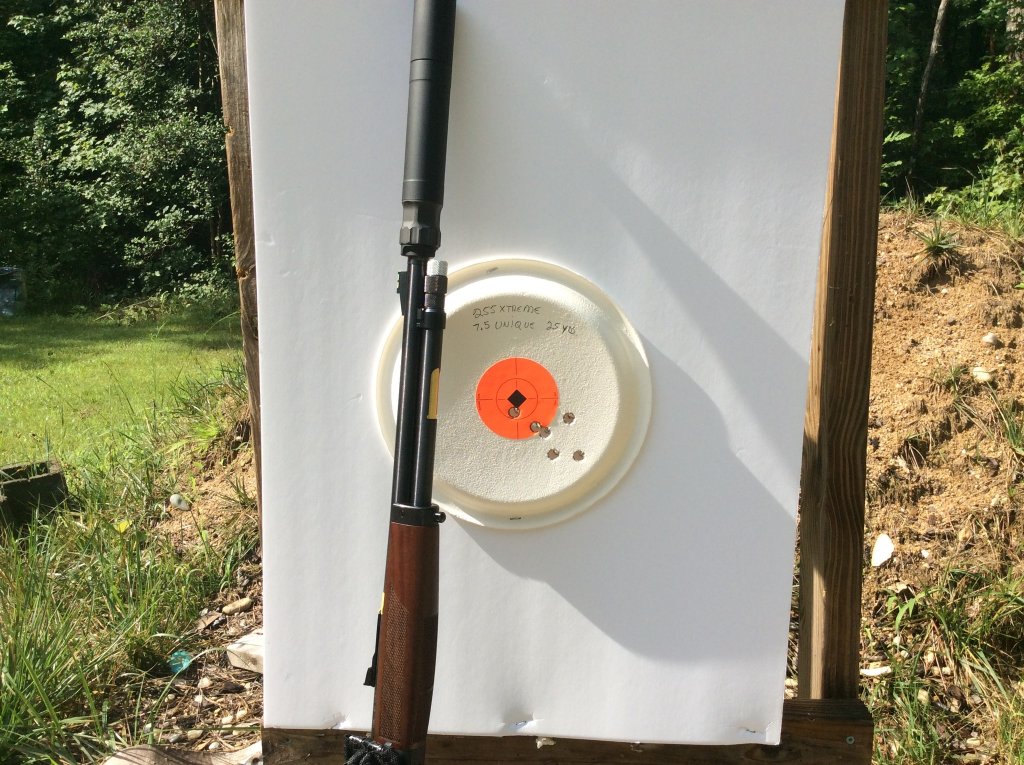 2nd round of shots using 7.5 Unique.jpg