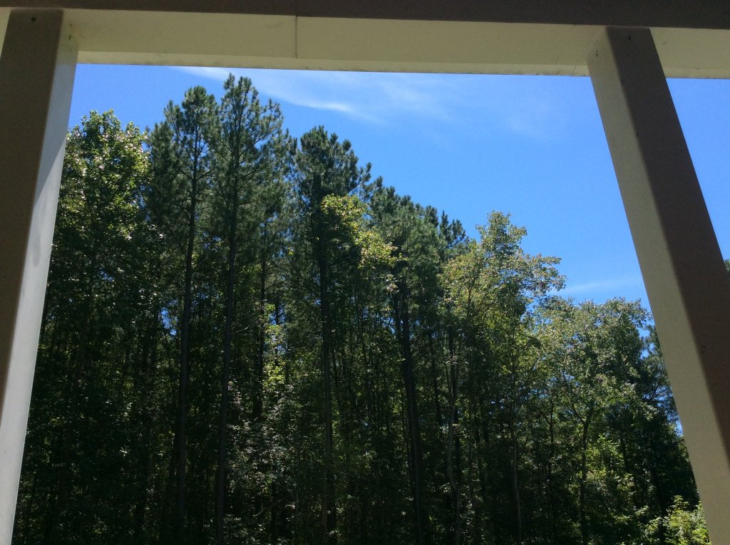 one fantastic day for August 79F and low humidity.jpg