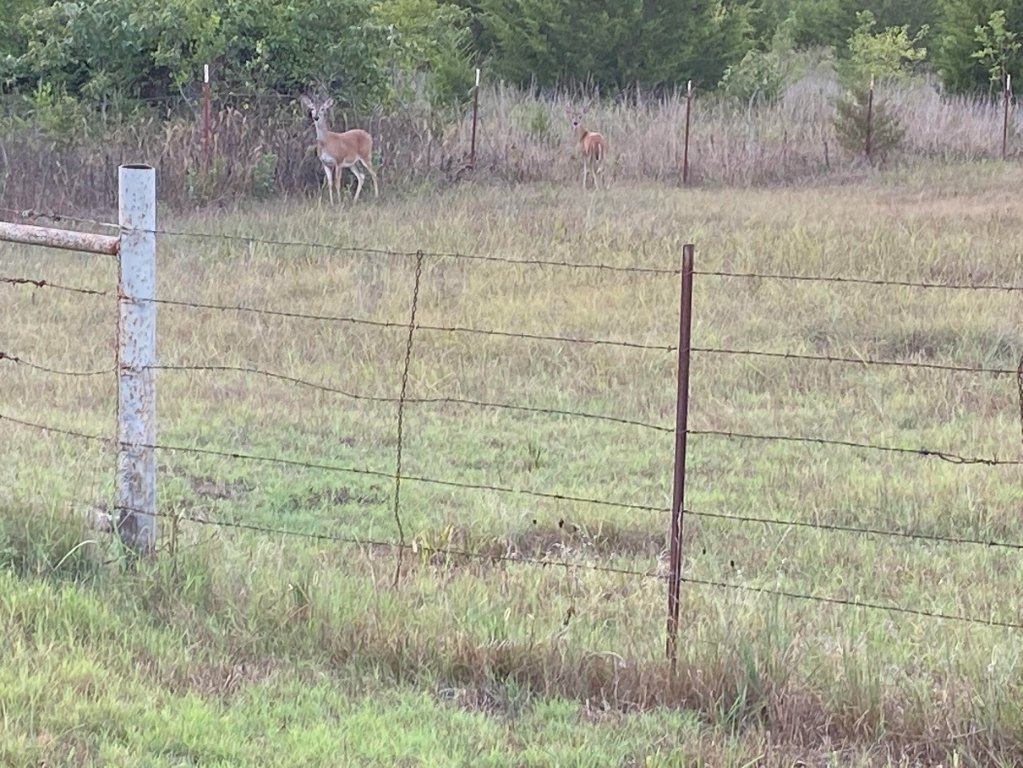 trespassing.jpg