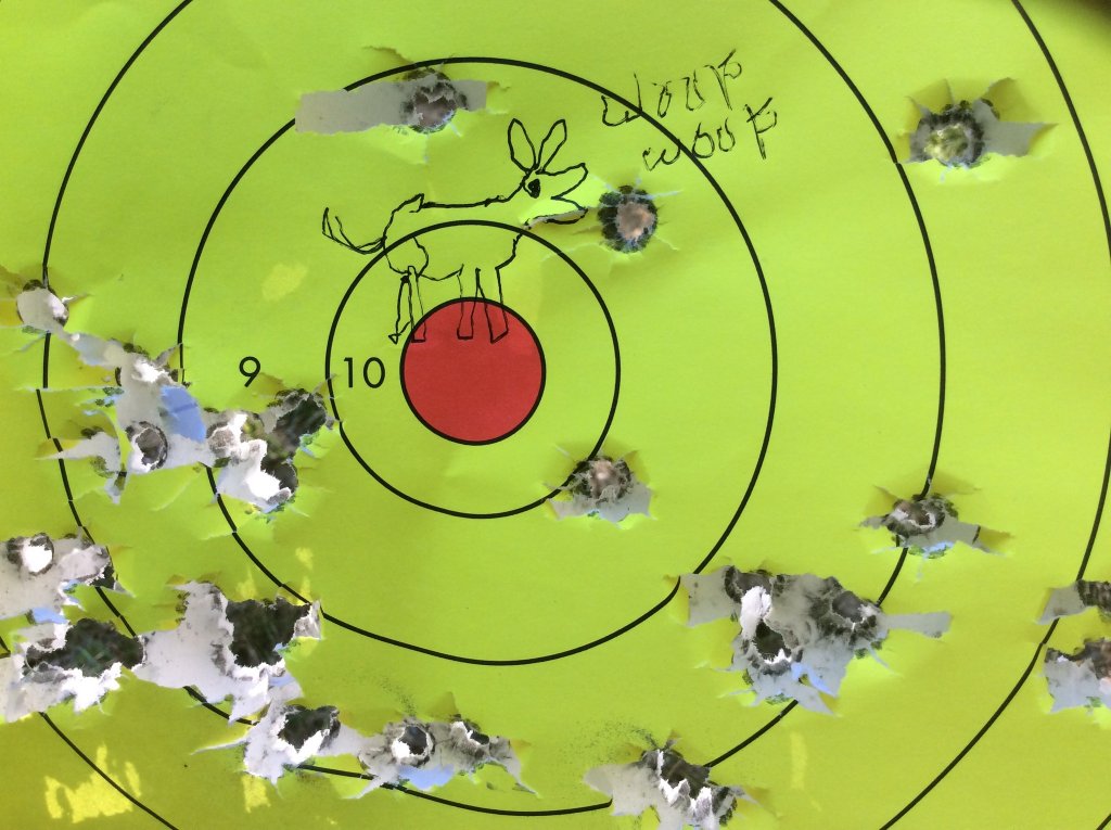 could not catch that dog.jpg