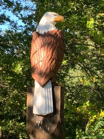 Eagle new paint.jpg