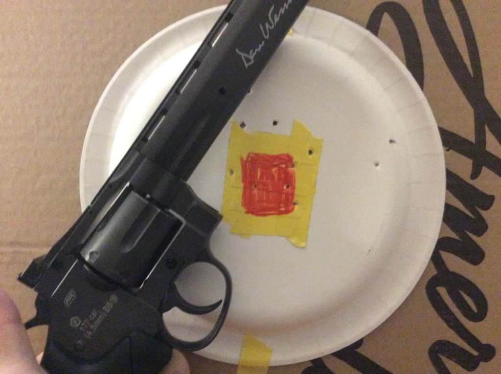 target set at 20 ft down the hallway.jpg