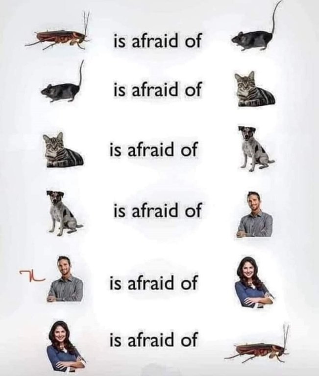 The image of life.jpg