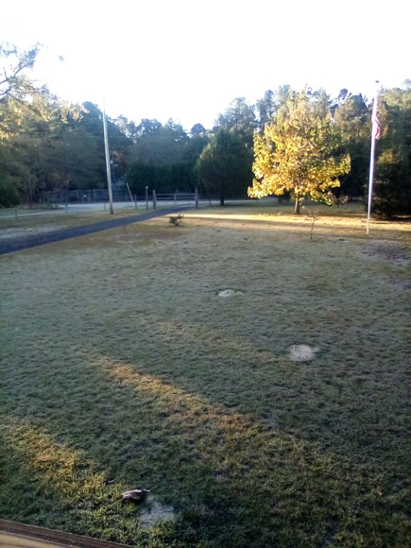 IMG_20221019_082607.jpg
