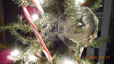 DSCN1693.JPG