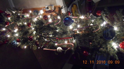DSCN1689.JPG